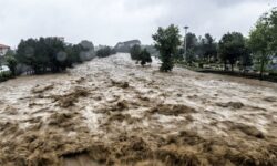 خسارت‌ سیلاب به کشاورزی و دام شهربابک و سیرجان