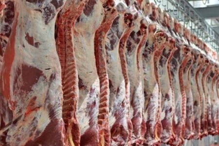 نقص فنی کشتارگاه صنعتی سیرجان و گلایه قصابان/دامپزشکی: اجازه توزیع گوشت ندادیم