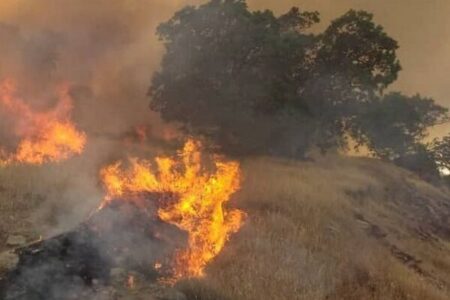 آتش سوزی در مراتع «چهار گنبد» سیرجان