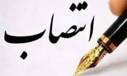 دبیر شورای هماهنگی مبارزه با مواد مخدر استان کرمان منصوب شد
