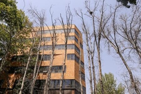 علت خشک شدن درختان خیابان ولیعصر تهران از نگاه یک نمایندهِ گیاه‌پزشک