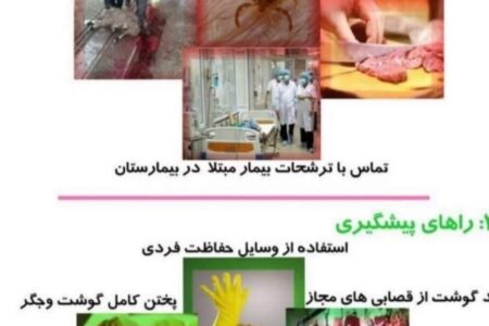 هیچ واکسنی برای تب کریمه کنگو وجود ندارد