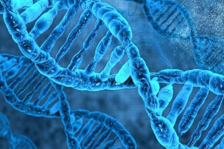 استخراج DNA خالص از سلول‌های زنده با فرمولاسیون زیستی/ محصولی که ناهنجاری‌های ژنتیکی جنین را تشخیص می‌دهد