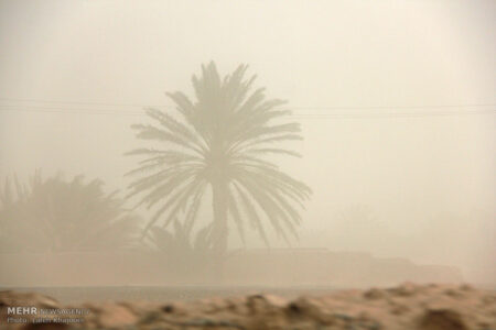 طوفان و گرد و غبار شرق کرمان را فرا می گیرد