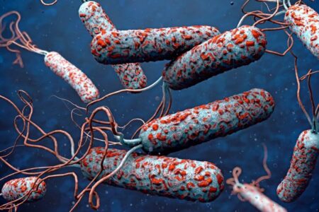 معاون علوم پزشکی جیرفت: ۲ مبتلا به وبا شناسایی شدند