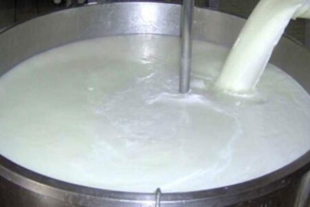 خطر بروز تب مالت و سل با مصرف شیر خام