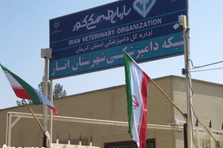 اجرای طرح بازرسی و نظارت بهداشتی در روزهای تاسوعا و عاشورای حسینی توسط اداره دامپزشکی انار