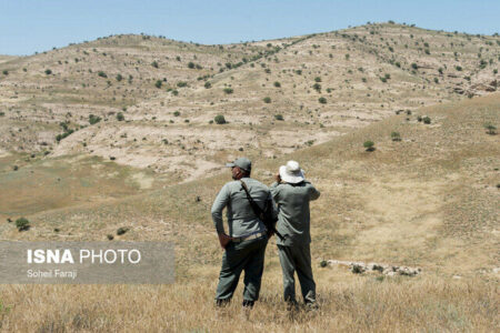 استان کرمان به بیش از ۹۰۰ محیط‌بان نیاز دارد