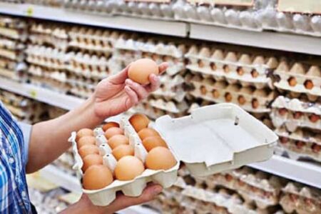 فروش تخم‌مرغ بالای ۹۰ هزار تومان تخلف است