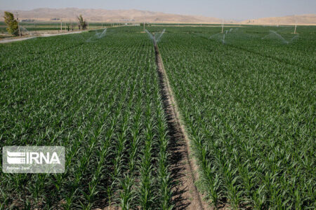 ضرورت به کارگیری فناوری‌های نوین در کدیریت بحران خشکسالی