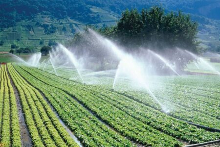 کاهش مصرف آب در کشاورزی با سامانه‌ای بومی و هوشمند
