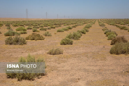 ۲۰۰ میلیارد تومان برای بیابان زدایی در شرق استان کرمان هزینه شده است