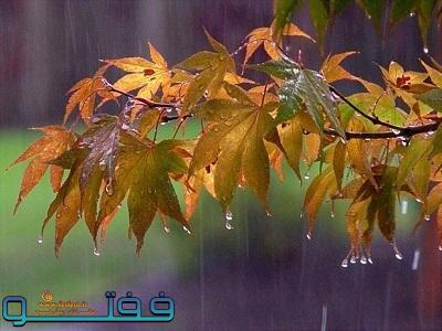 پیش بینی بارش باران و تگرگ و جاری شدن آب از بالادست در جنوب کرمان