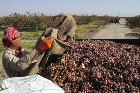 مسائل اجتماعی و بیکاری در رفسنجان افزایش یافته است