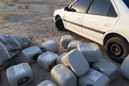 کشف ۸۰۰ لیتر گازوئیل قاچاق از پژو در بیاض شهرستان انار