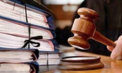توضیح مقام قضایی درباره پرونده قتل در رابُر و بازداشت ۲ محیط‌بان