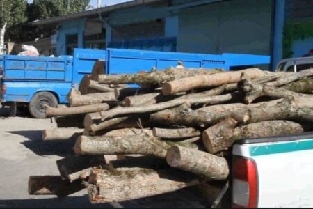 محموله چوب قاچاق در جنوب کرمان کشف شد