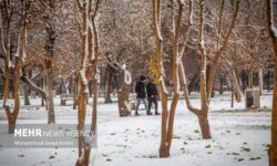بارش برف در مناطق مرتفع کرمان