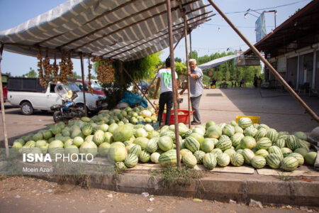 هیچ کمبودی در بازار میوه و تره‌بار کرمان وجود ندارد/۸۰۰۰ تومان؛ قیمت هر کیلو هندوانه