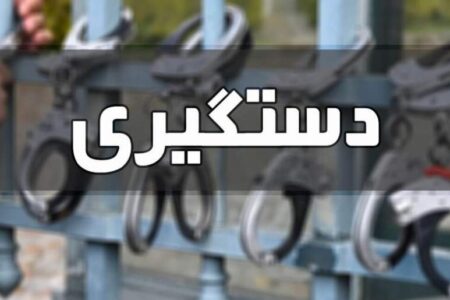 دستبند پلیس بر دست عاملان۲۰ فقره سرقت در ماهان