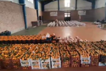 توزیع ۱۴۰۰ بسته یلدایی در بردسیر