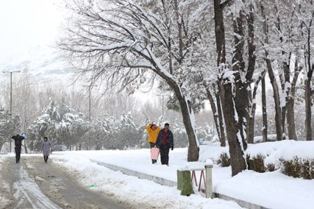 بارش سنگین  برف در کوهبنان/ مسیرها باز و تردد به‌‌کندی انجام می‌شود