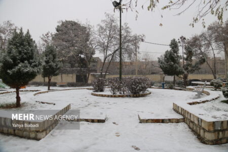 بارش برف و باران در کرمان