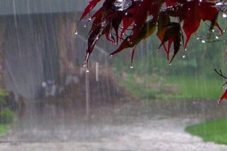کرمان یک سوم بارش سال آبی را دریافت کرده است/ کم بارشی تا هفته اول اسفند