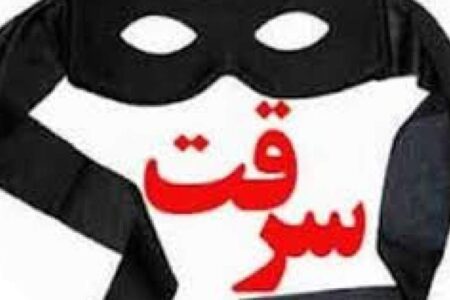 پایان سرقت های سریالی منزل با دستگیری ۳ سارق افغان