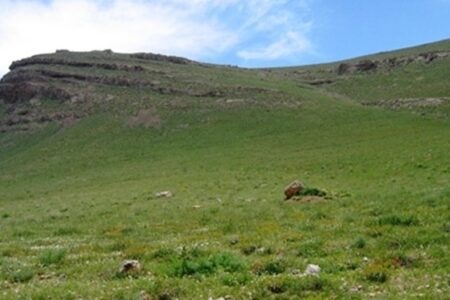 فعالیت ۱۵ اکیپ حفاظت از عرصه‌های منابع طبیعی جنوب کرمان در روز طبیعت