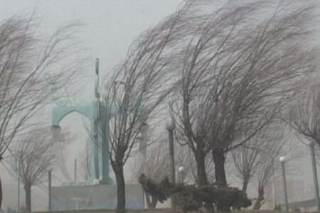 صدور هشدار زرد هواشناسی در کرمان/ وزش باد شدید از روز جمعه در اکثر مناطق استان