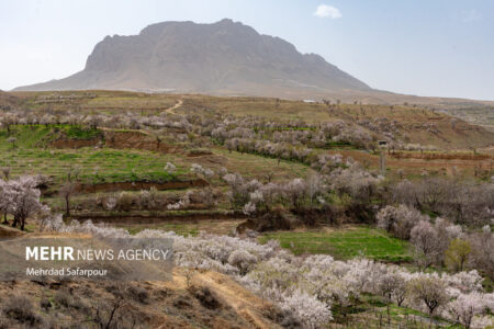 احتمال سرمازدگی محصولات کشاورزی در شمال کرمان