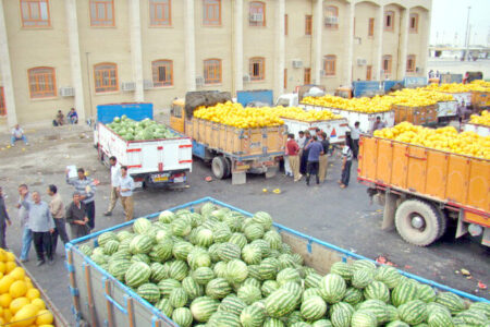 اوج برداشت محصولات کشاورزی جنوب کرمان با ورود روزانه ۲۰۰۰ کامیون به منطقه