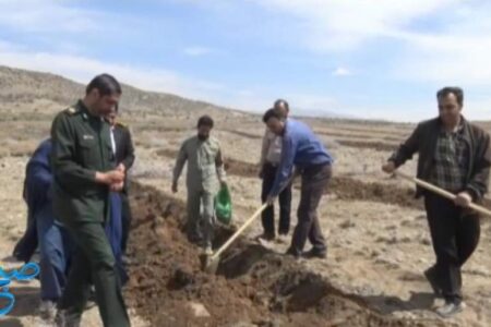 کشت بذر بادام کوهی در ۱۰۰هکتار از اراضی قنات ملک رابر