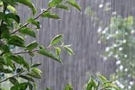 پیش‌بینی بارش پراکنده باران از امروز در کرمان