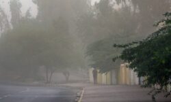 پیش‌بینی وزش باد شدید تا پایان هفته در کرمان