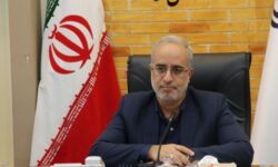 استاندار کرمان: تعهد اشتغال استان در سال جاری ۲۰ درصد کاهش یافته‌است
