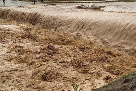 ۱۰۰ راس دام در سیلاب جیرفت تلف شد