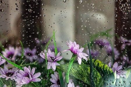 بارش پراکنده باران کرمان را فرا می گیرد