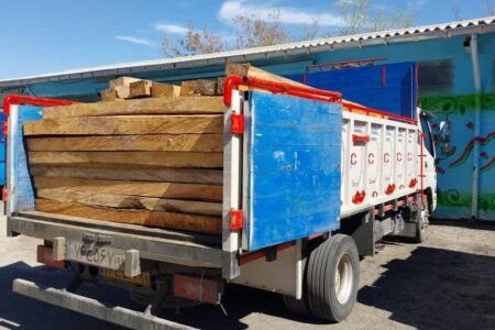 ۲۰ تن چوب قاچاق در فهرج کشف شد