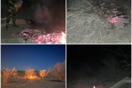 قطع و آتش زدن درختان جنگلی با هدف تصرف اراضی ملی در فردوسیه رفسنجان