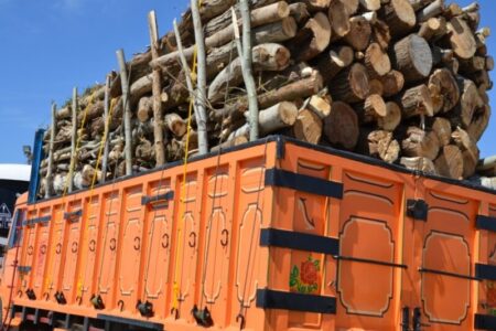 ۲۰ تن چوب قاچاق در فهرج کشف شد