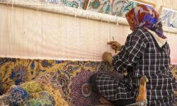 آموزش رایگان هنرجویان و بافندگان فرش دستباف در جنوب کرمان