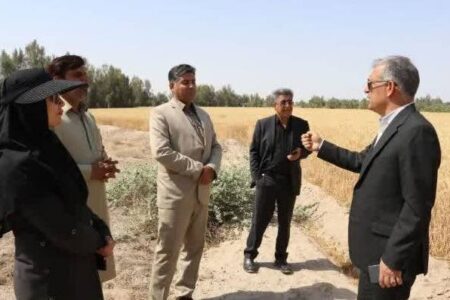 یاوران تولید از مزارع جنوب کرمان بازدید کردند/ پیش‌بینی برداشت ۲۵ هزار تن گندم در فاریاب