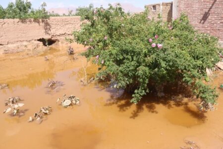 فرماندار رفسنجان: اجرای طرح آبخیزداری در بالادست حسین‌آباد نوق ضروری است