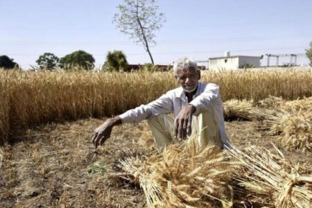 نبود اتحادیه محصولات از مشکلات کشاورزی جنوب استان کرمان است