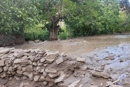 آبگرفتگی منازل روستایی و مسدود شدن راه ارتباطی هفت روستا بر اثر بارندگی در زرند
