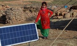 ۳۲۰ سامانه قابل حمل خورشیدی به عشایر کوچ روی استان کرمان اختصاص یافت