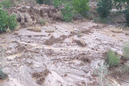 بارندگی سیل‌آسا در کوهبنان؛ آبگرفتگی منازل مسکونی و مسدودشدن جاده زرند – کوهبنان