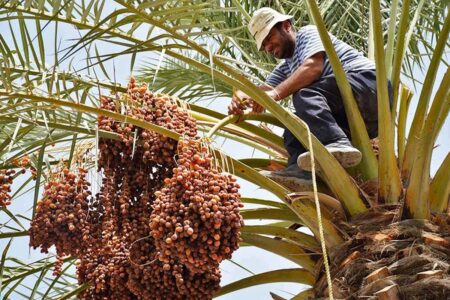 با شرایطی ناعادلانه‌ در صادرات مواجه هستیم